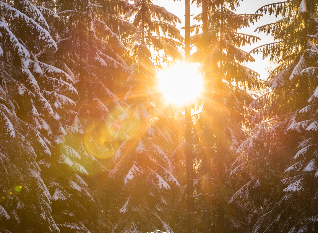 Die Magie der Zeit zwischen den Jahren
